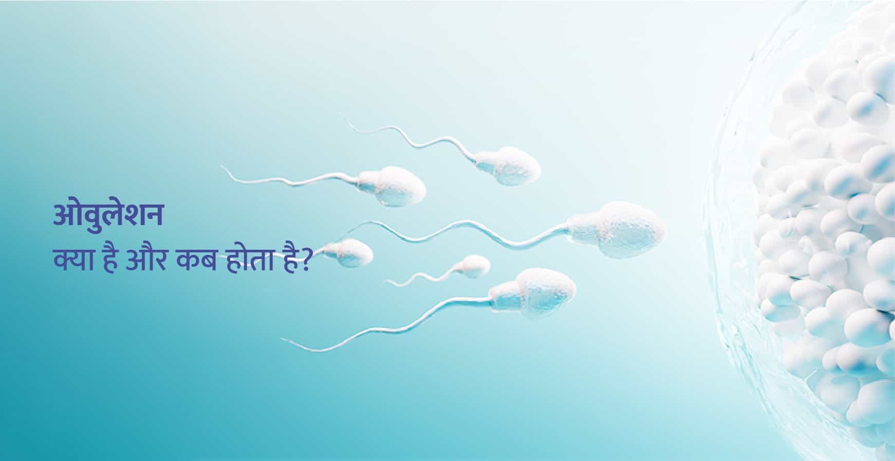 ओव्यूलेशन क्या है और कब होता है (Ovulation Meaning in Hindi)