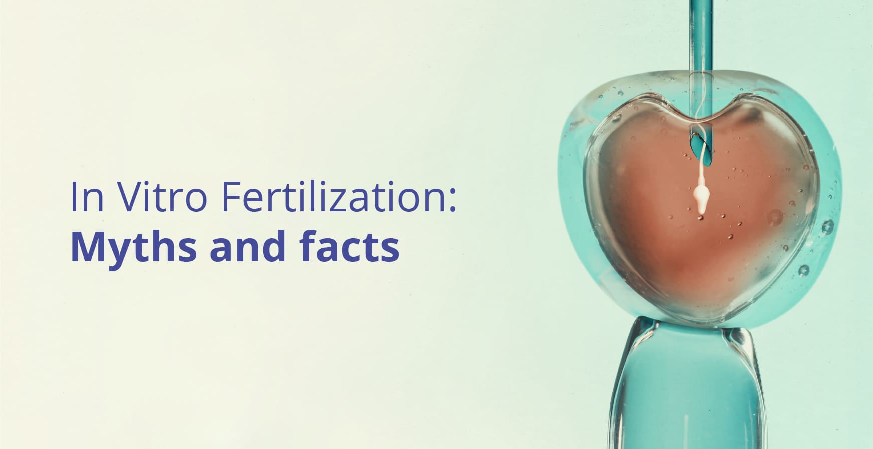 In Vitro Fertilization: Myths and Facts of IVF Coverage by HT Lifestyle