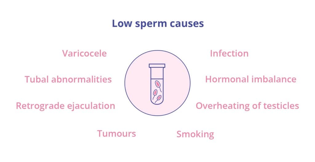 pointers in flow chart format depicting causes of low sperm count