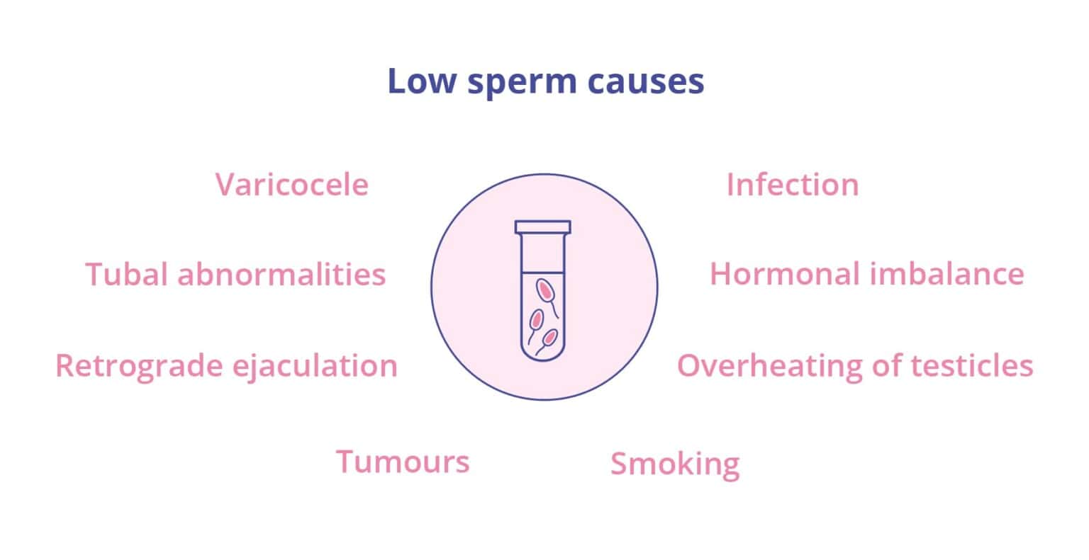 Male Infertility: Low Sperm Count Treatment | Birla Fertility & IVF