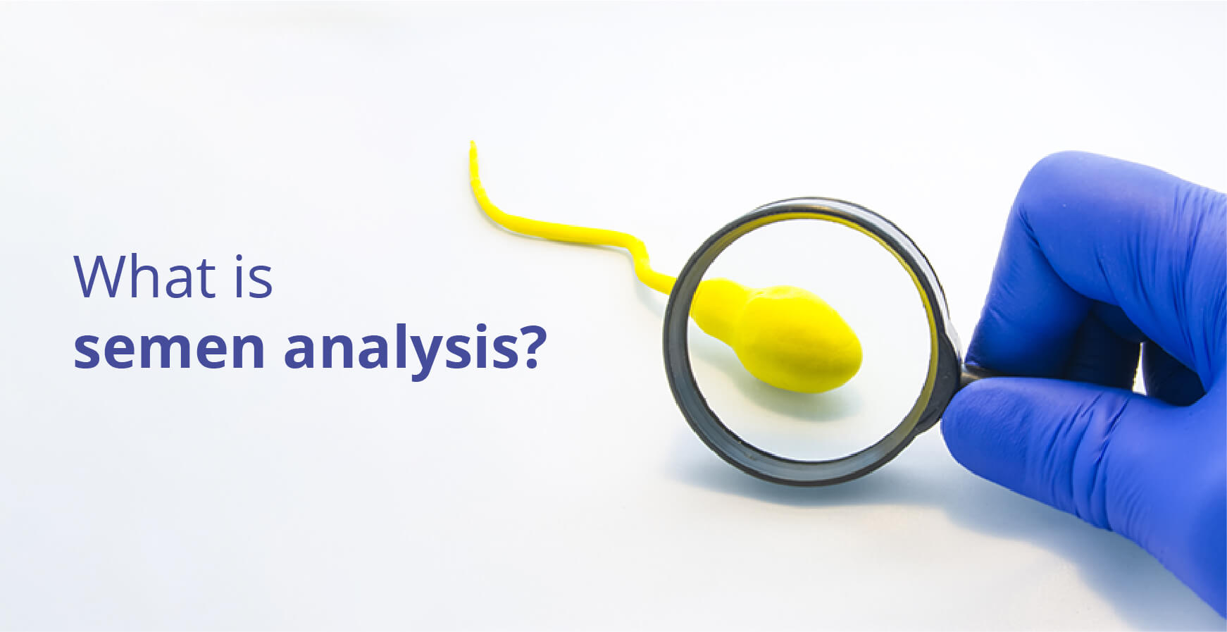 What is Semen Analysis?