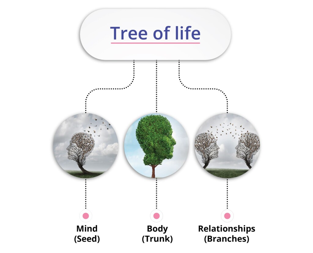 flowchart depicting tree of life in three steps quoted by sister shivani