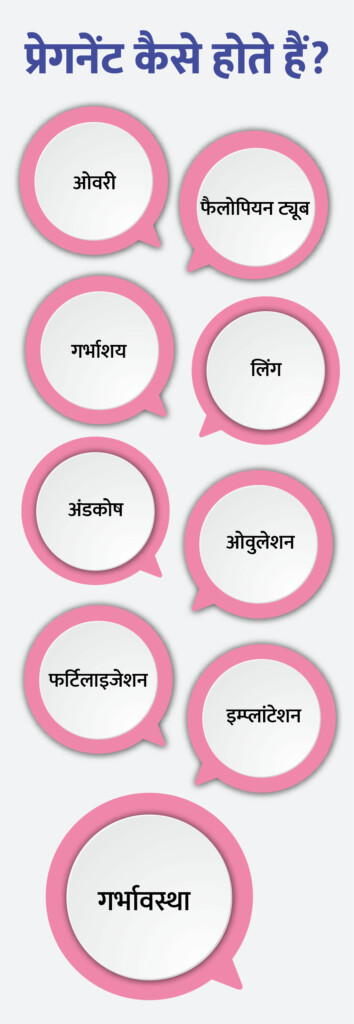 pregnant kese hote h in hindi infographics