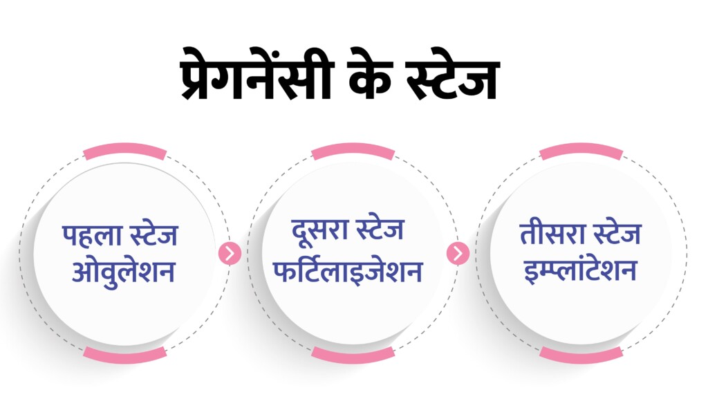 pragnancy-stage-as-chart-in-hindi