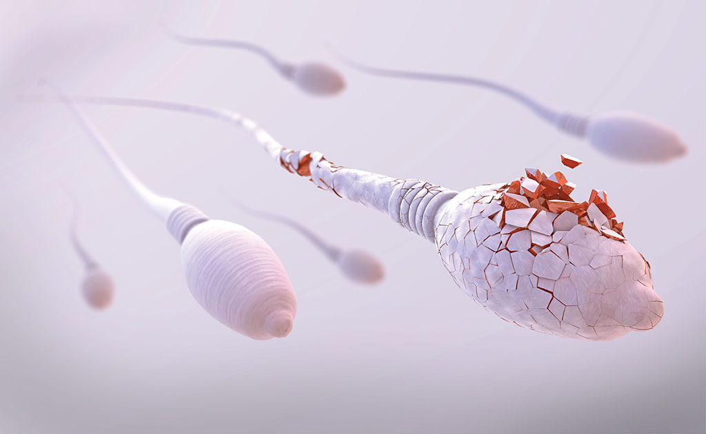 Sperm Lifetime Outside