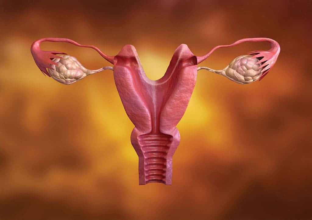 uterus جي Bicornuate سبب