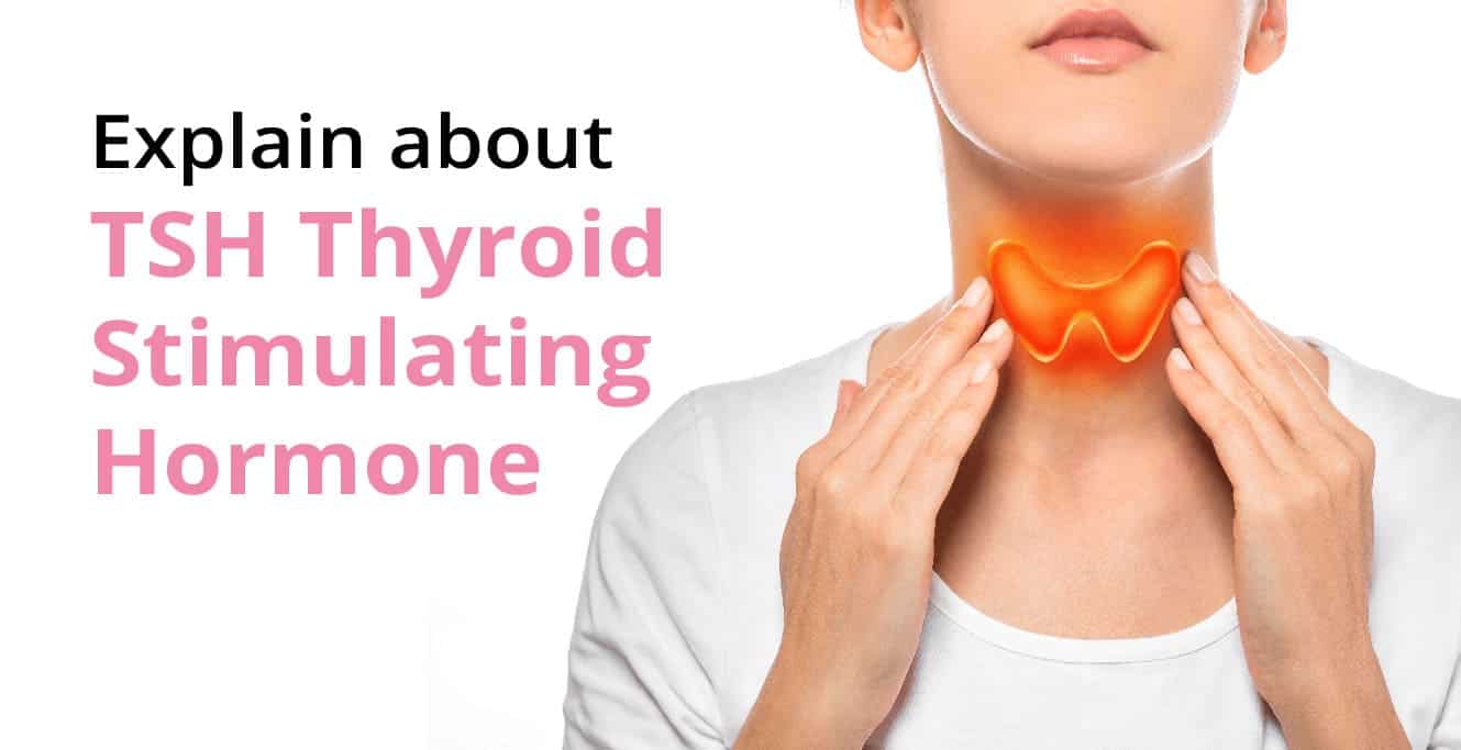 What Is Thyroid Stimulating Hormone TSH Birla Fertility IVF