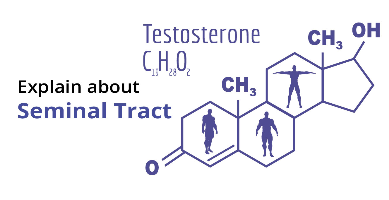 Know about Testosterone