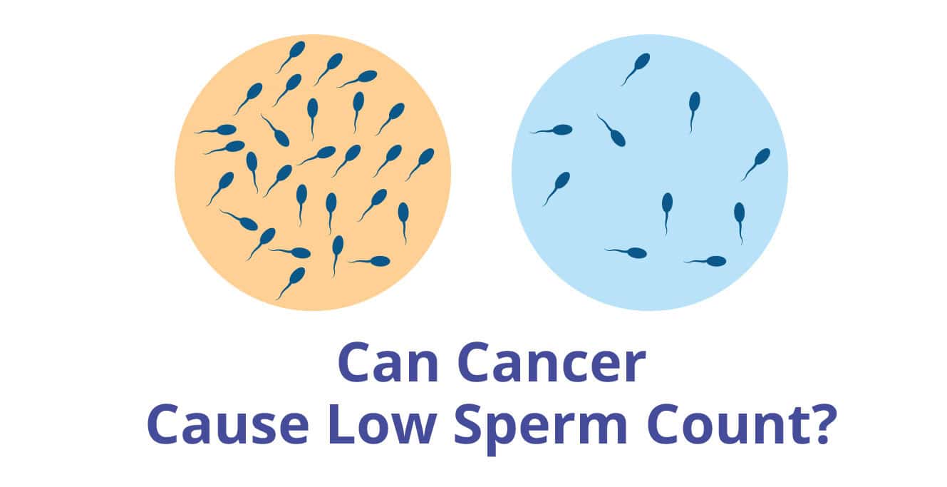 क्या कैंसर के कारण शुक्राणुओं की संख्या कम हो सकती है?