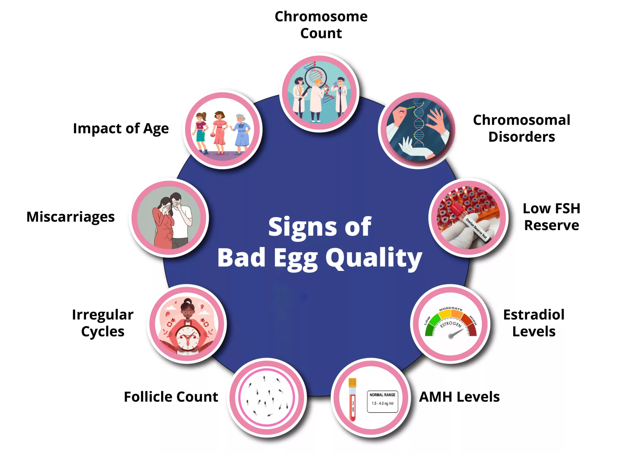 signs of bad egg quality-01