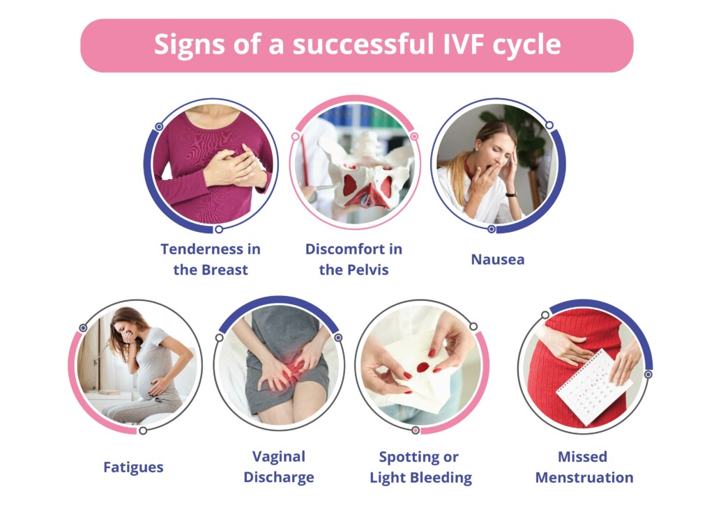 What are the signs of a successful IVF cycle