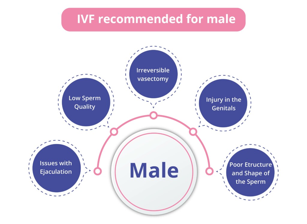 Why is IVF recommended for male 