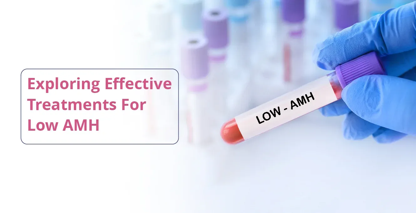 گھٽ AMH لاء مؤثر علاج جي ڳولا