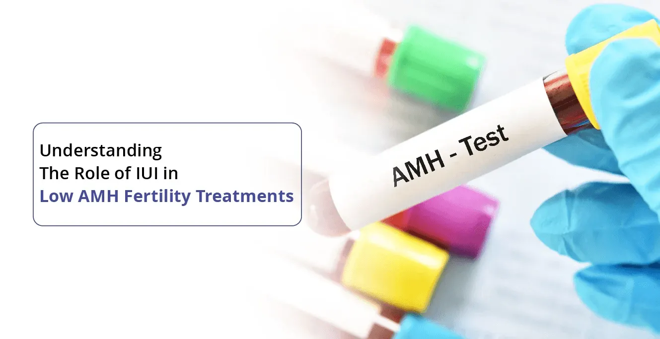 ઓછી AMH પ્રજનનક્ષમતા સારવારમાં IUI ની ભૂમિકાને સમજવી