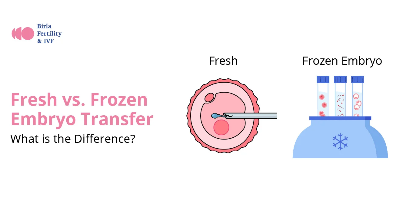 Fresh vs. Frozen Embryo Transfer: What is the Difference?