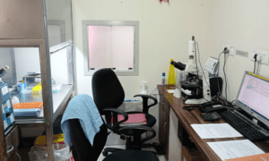 IVF Lab